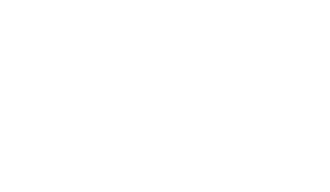 Gemeente West Betuwe wit